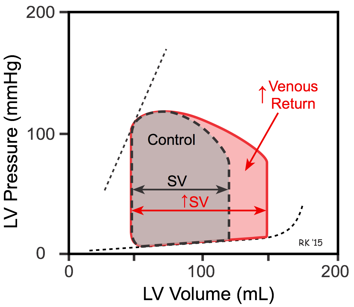 Ventricular pressure-volume loop - increased venous return